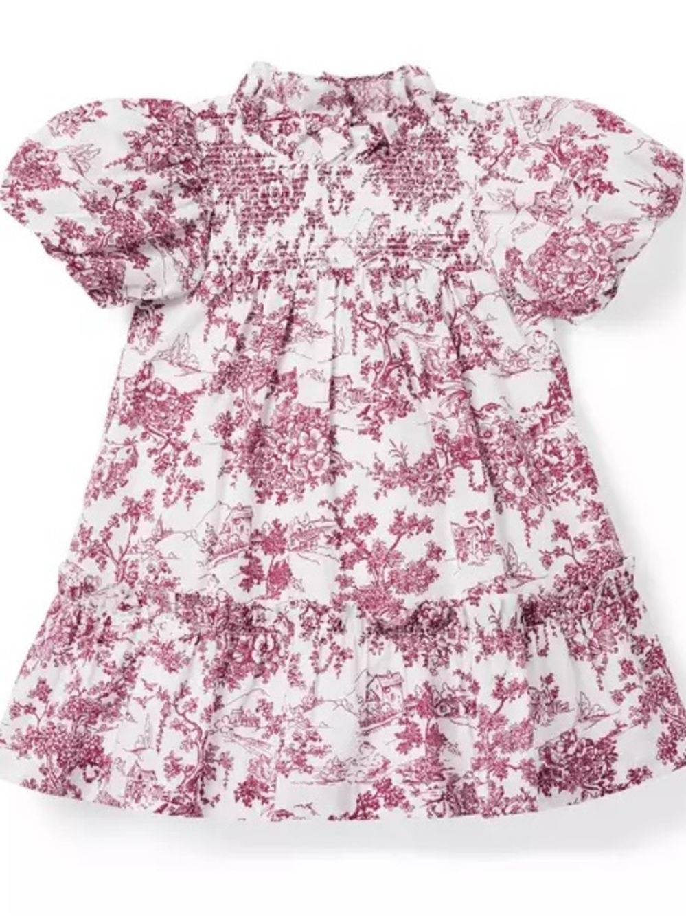 Janie and Jack The Olivia Floral Dainty Berry Floral Toile Smocked Dress